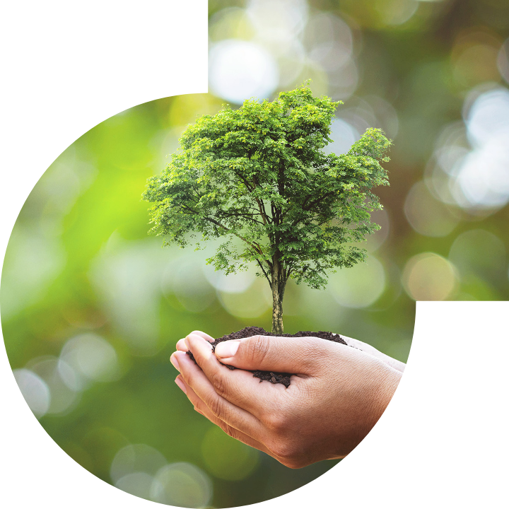 關懷人類、文化、環境與社會